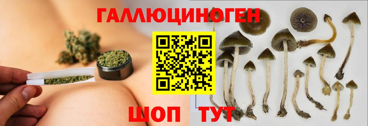 Псилоцибиновые грибы Psilocybine cubensis  Вход с VPN  Пугачёв 